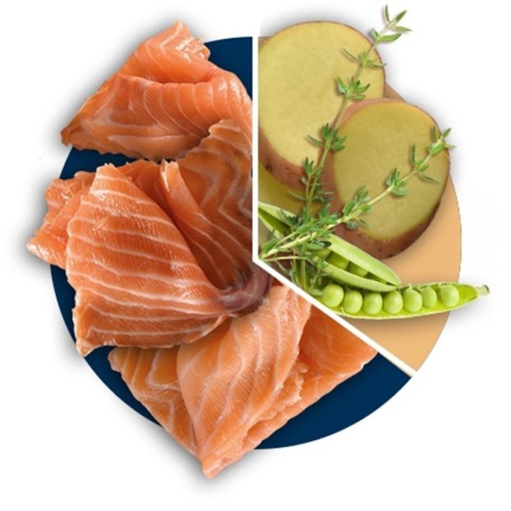 Polaris grainfree adult salmon&turkey 12kg