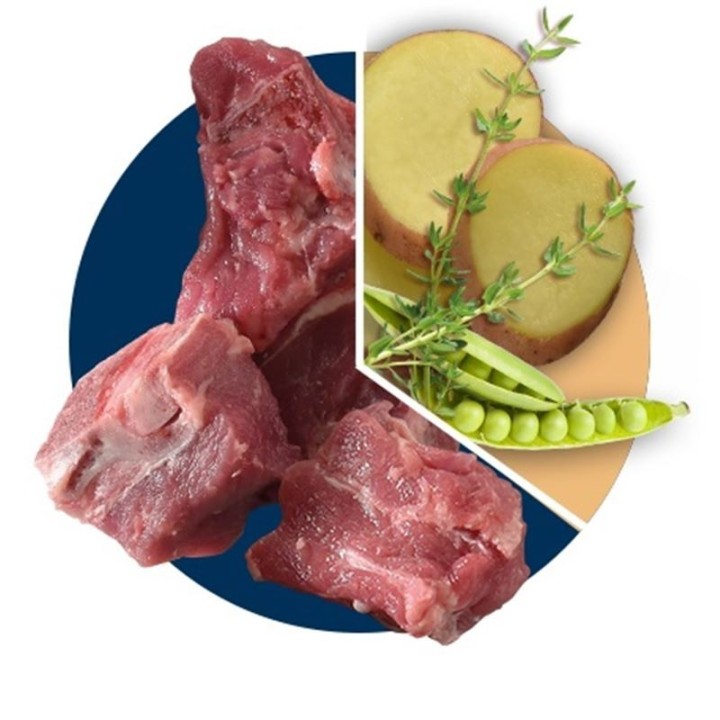 Polaris grainfree puppy large lamb&salmon 12 kg