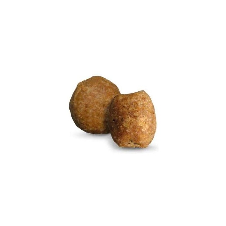 Green Dog hüpoallergeenne  putukavalguga  terav-vaba 10kg
