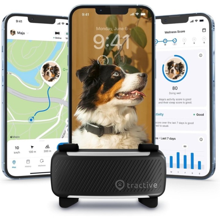 Tractive GPS Pruun  koertele