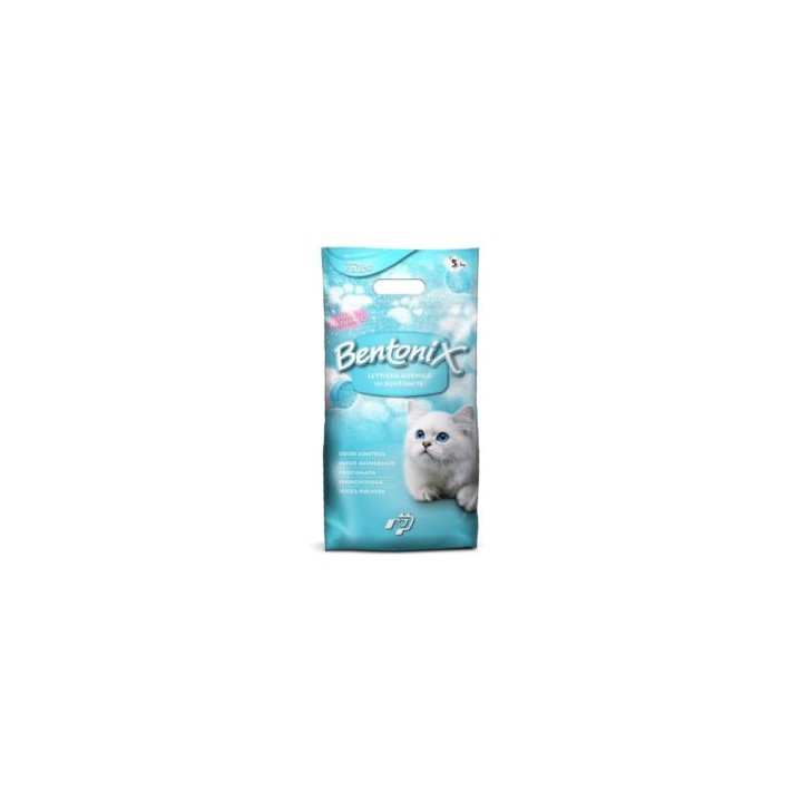 Bentonix kassiliiv natural  5kg