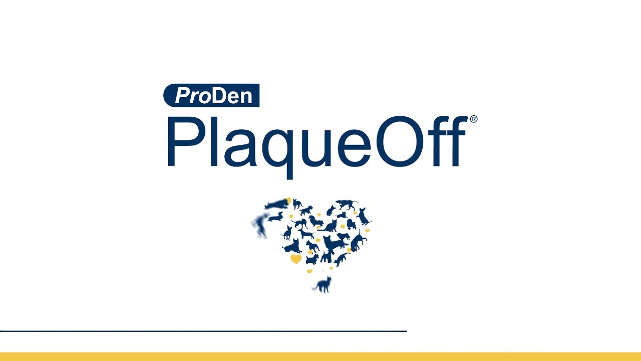 Planqueoff